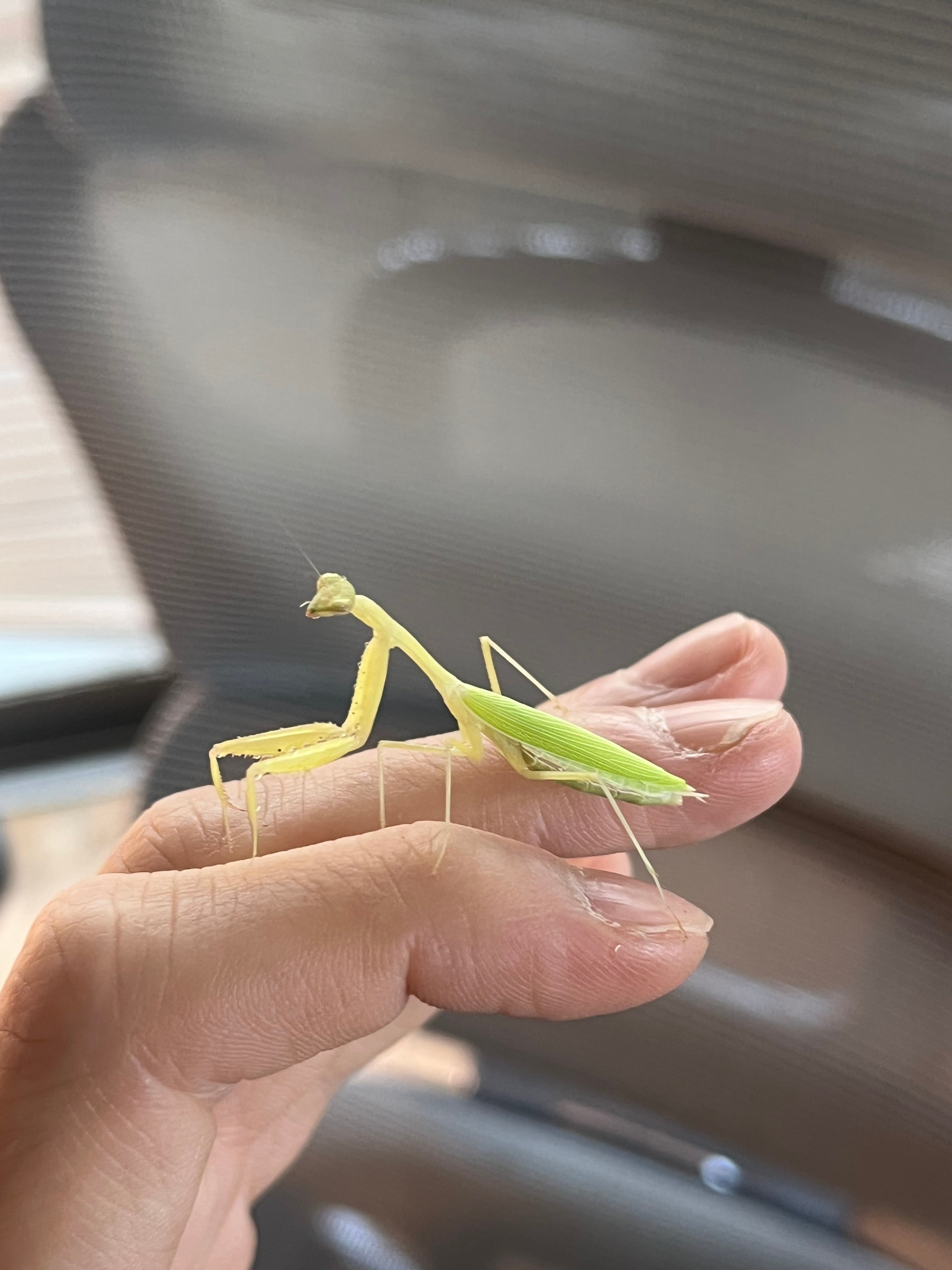 239f266929015b110663a8a4503b59