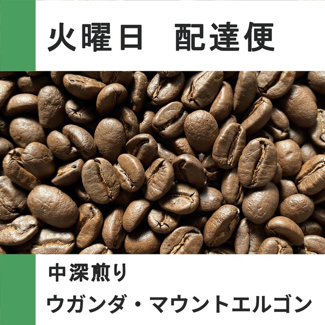 ブラジルNショコラ（浅煎り）【100g/火曜配達便】