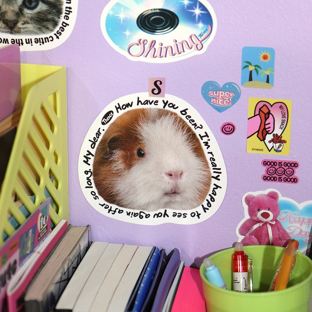 「CAVY」型抜き ポストカード