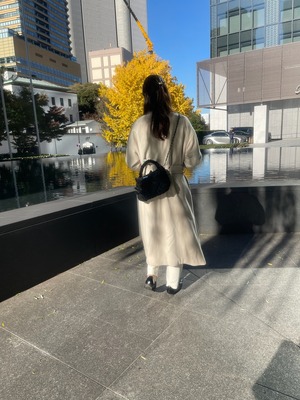 velvet ribbon bag