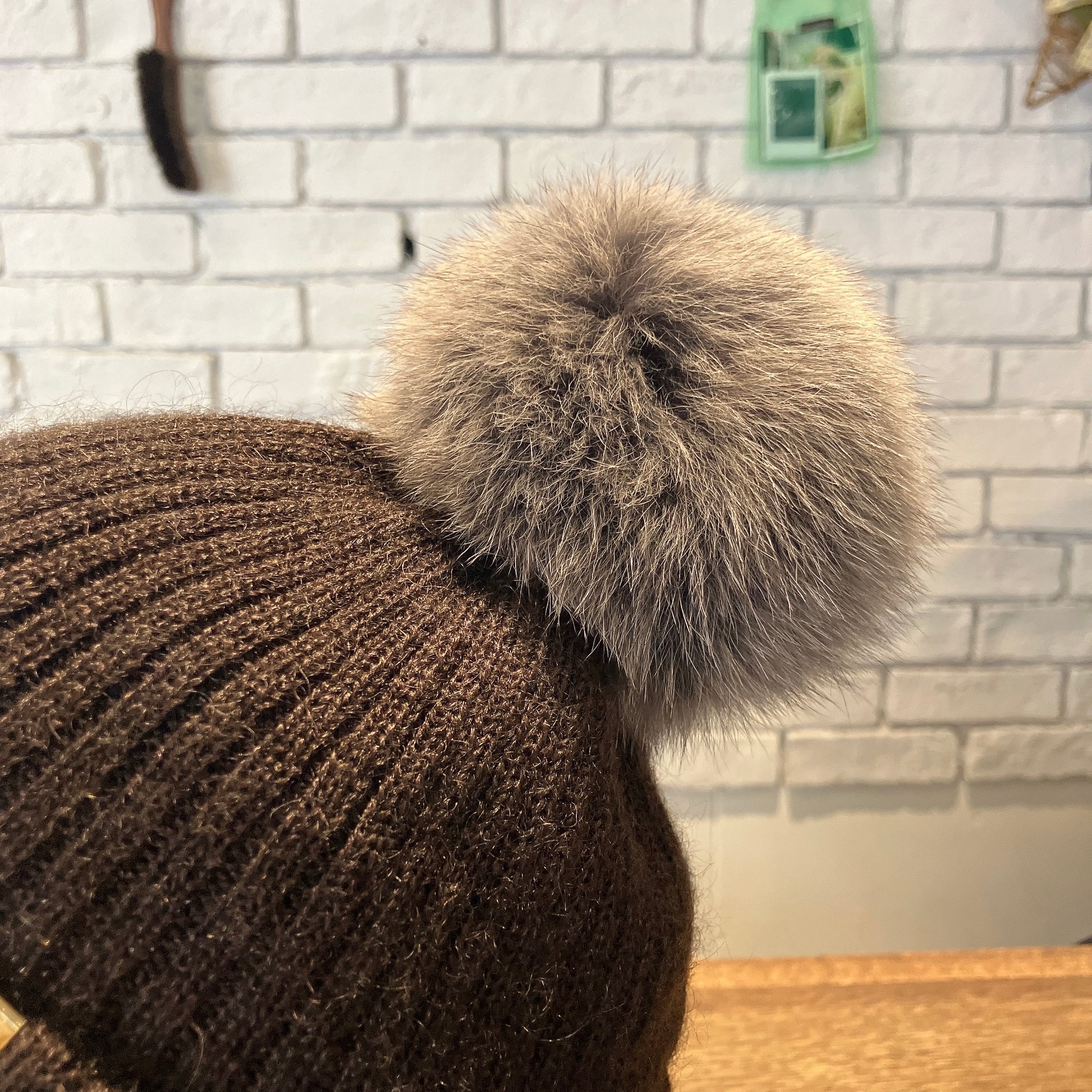 CA4LA】EX PLATINA FOX 7 ニット SHK01260 | 広島の帽子専門店SHAPPO