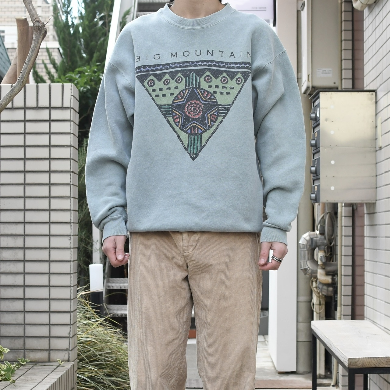 BIG MOUNTAIN native print sweat