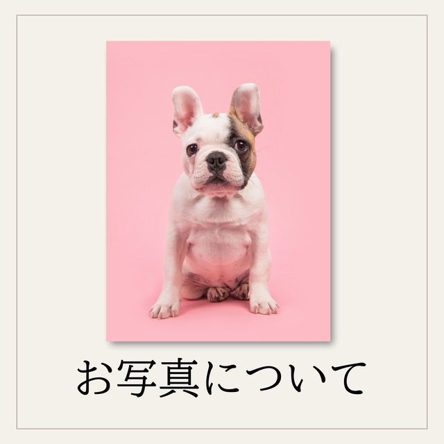 お写真についてのお願い
