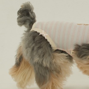 【予約】[ thesallyslaw ] Bunny Romper｜Pink Milk Stripe