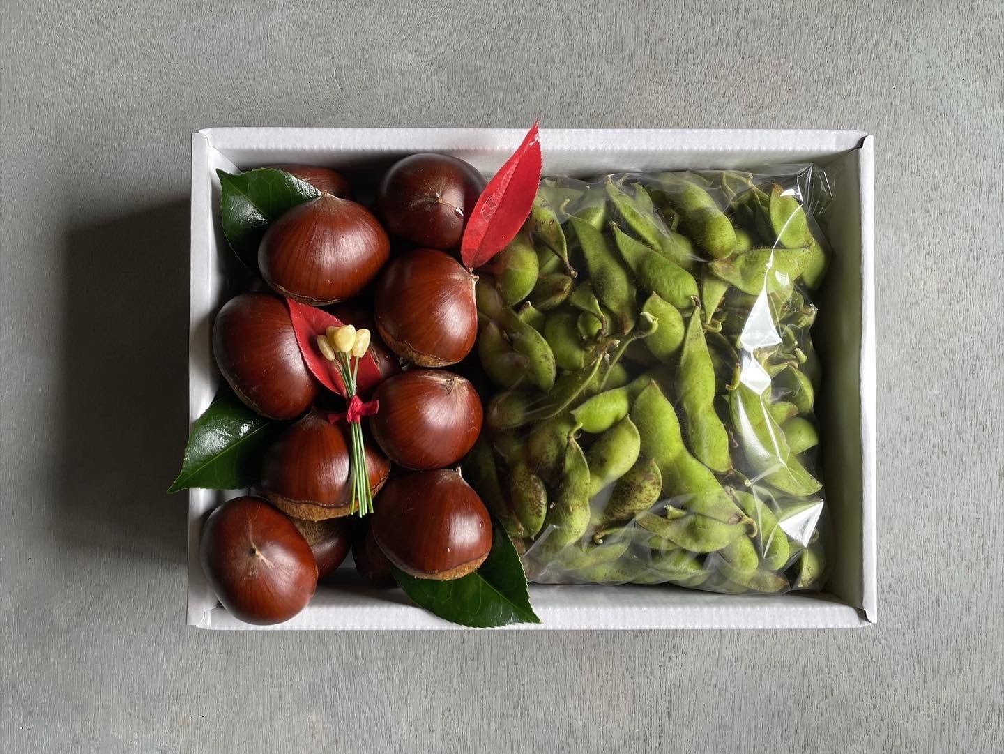 特選丹波栗 2Lサイズ 銀寄2kg 丹波栗 2L 1kg – 株式会社栗山米穀