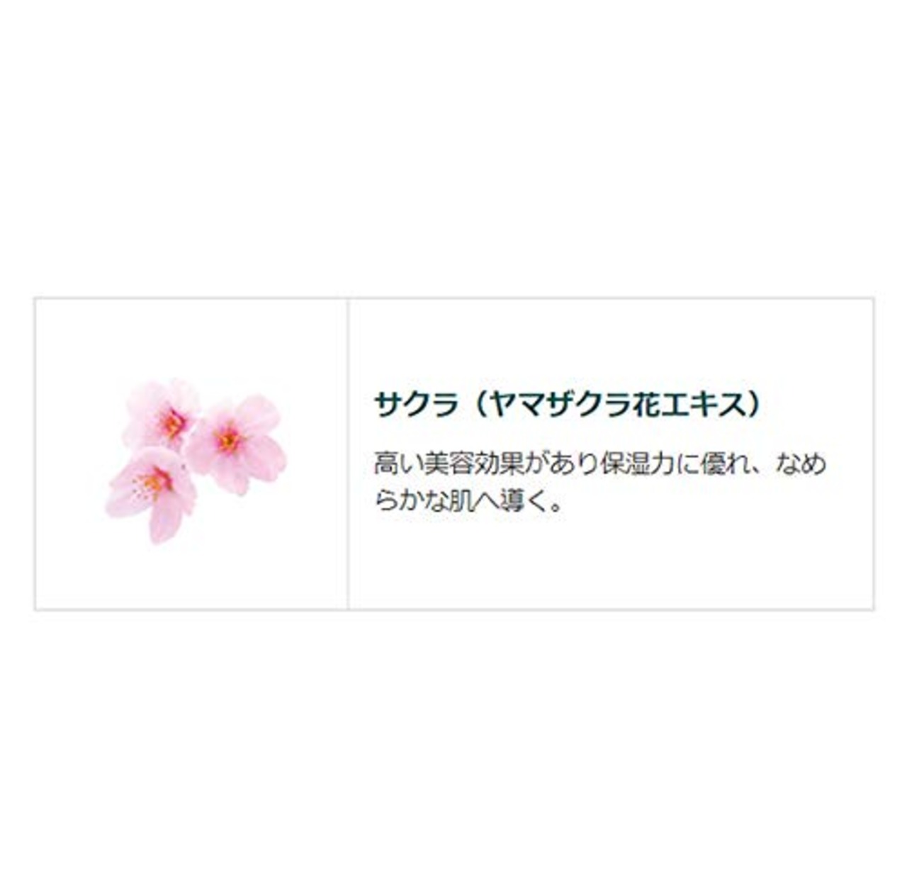 クナイプ(Kneipp) ハンドクリーム サクラの香り75mL