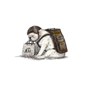 Last Delivery/スウェット/ビッグシルエット/アッシュ/ユニセックス