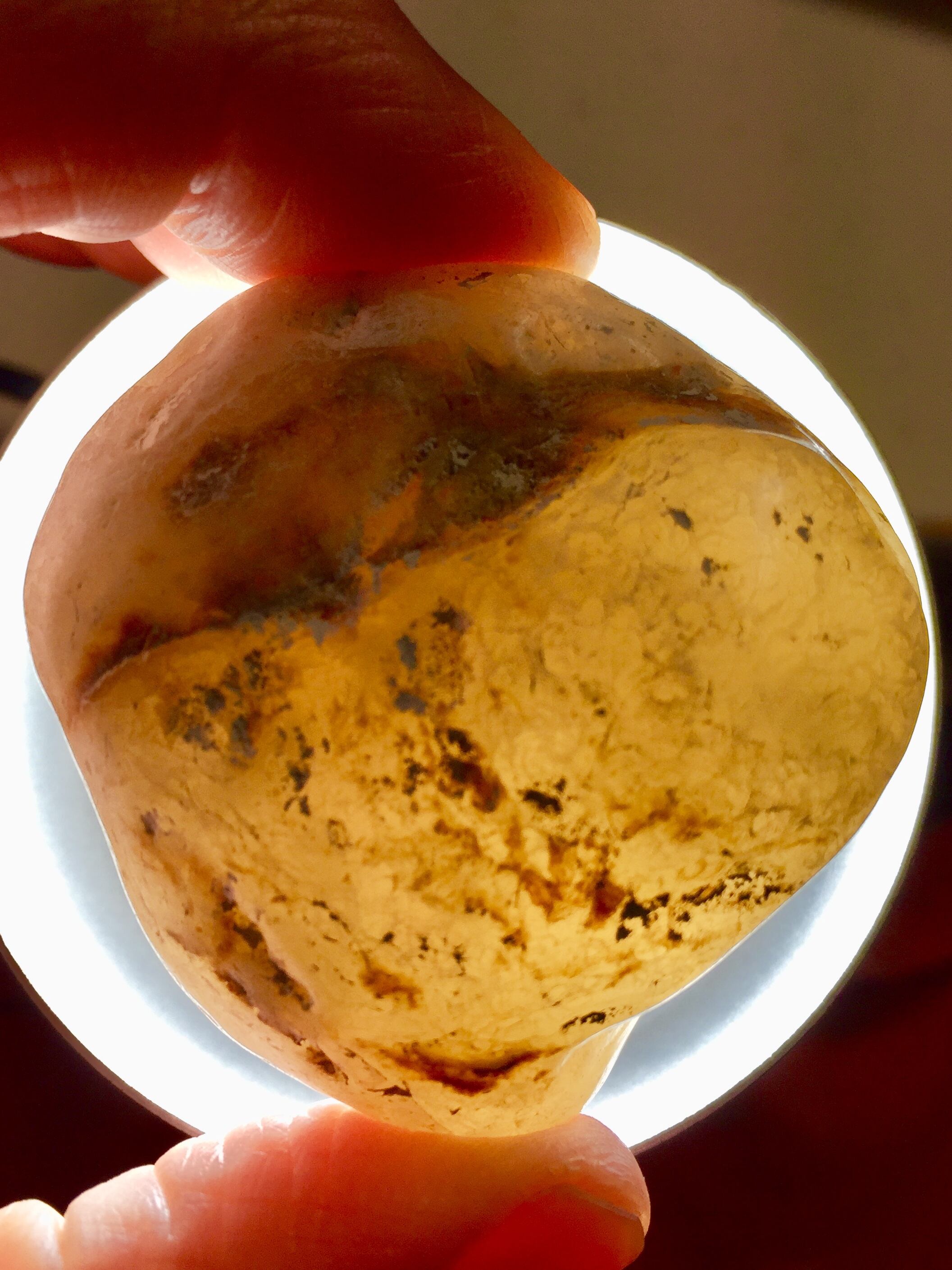 29) 慈愛と癒し・礼文島「ヒーリング・アゲート」