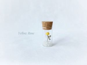 黄色い薔薇 bottle flower