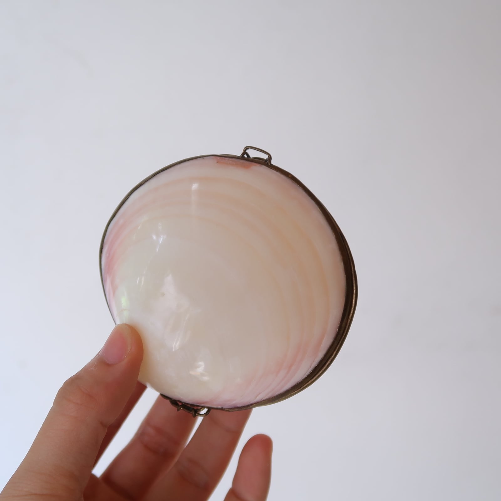 貝殻のアクセサリーケース | SUISUI