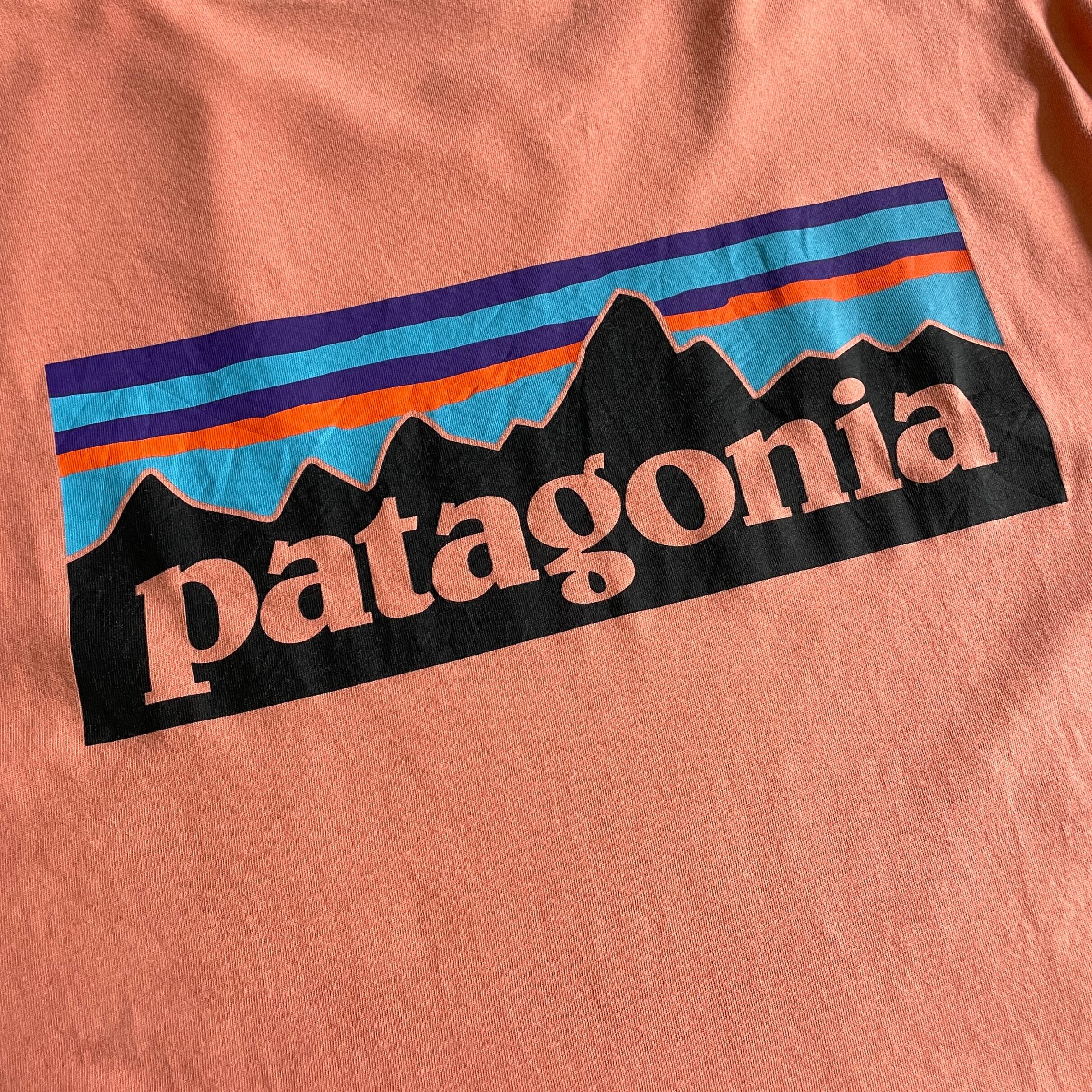 655cm身幅パタゴニア Patagonia ORGANIC COTTON オーガニックコットン バックプリント ロングTシャツ ロンT USA製 メンズL /eaa354041