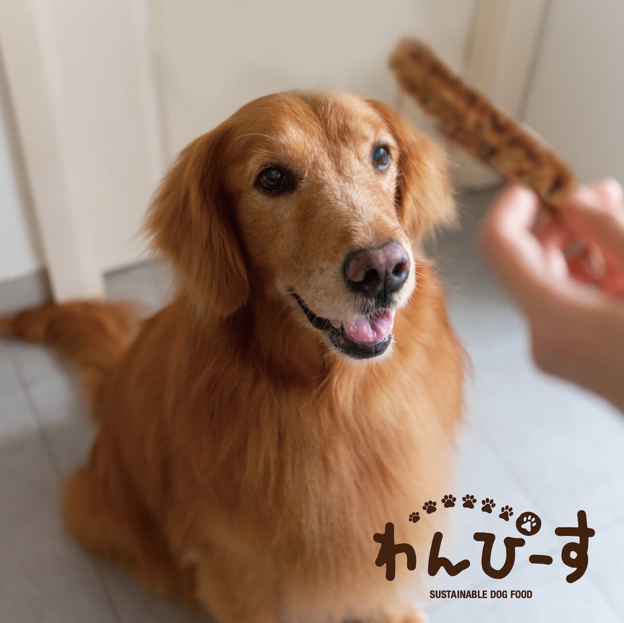 〈ギフトボックス〉ドライフード　3種セット
