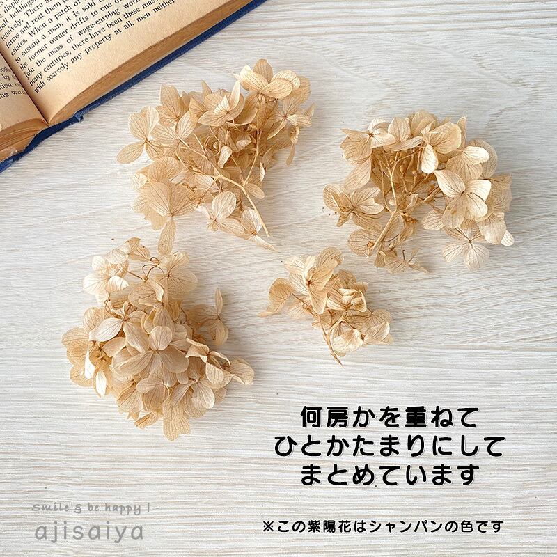 ピラミッドあじさい こわけ ライムロゼ 【 プリザーブドフラワー