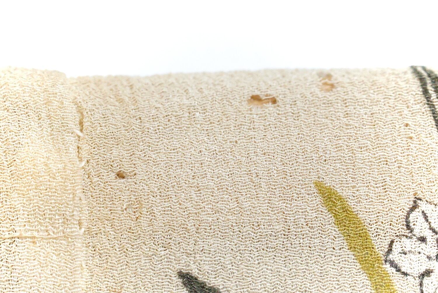 3323 子ども着物 アンティーク着物 雀 水仙 明治時代 江戸縮緬 単衣