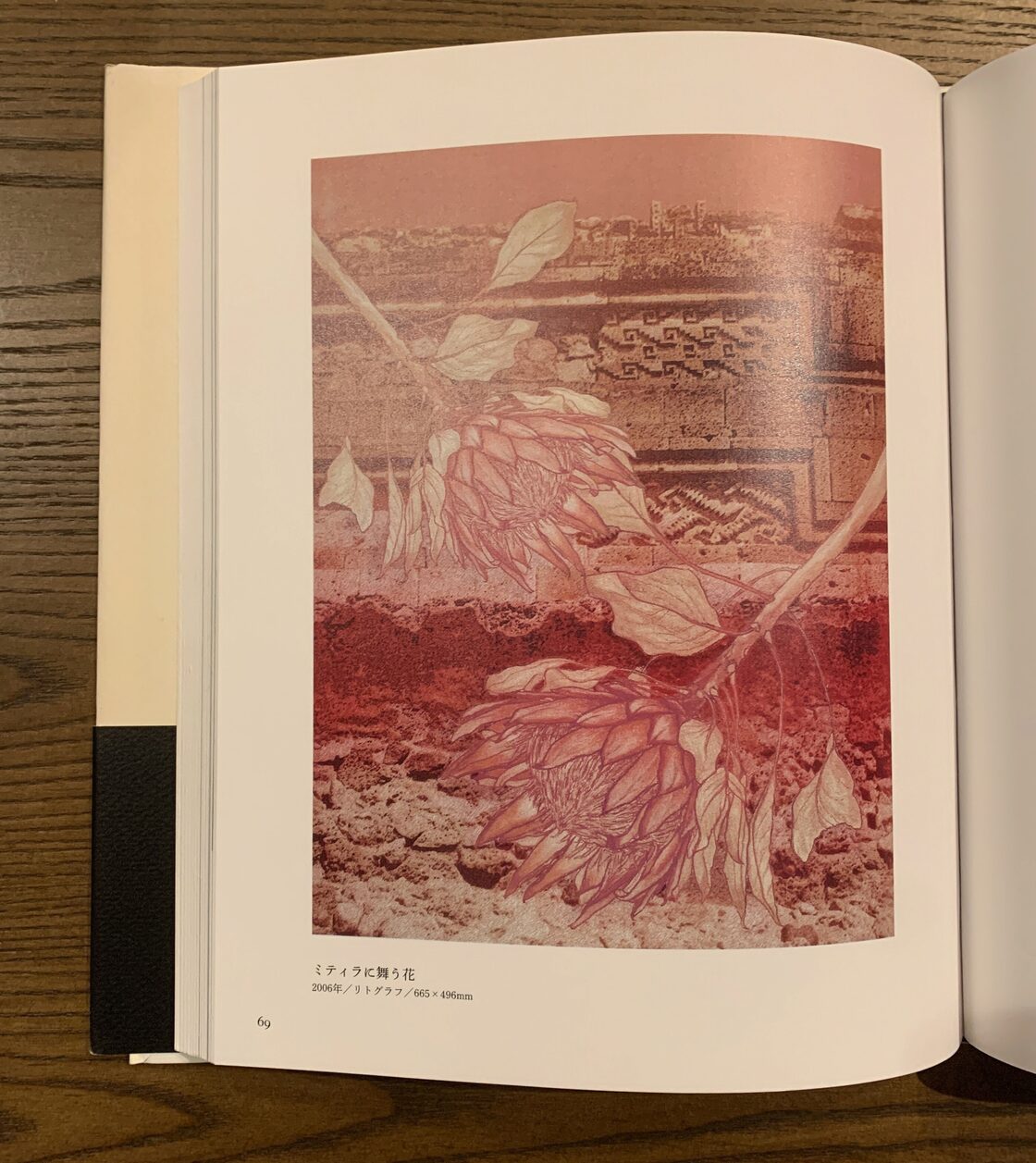 天の花 地の花 五木玲子画集 | Pay ID