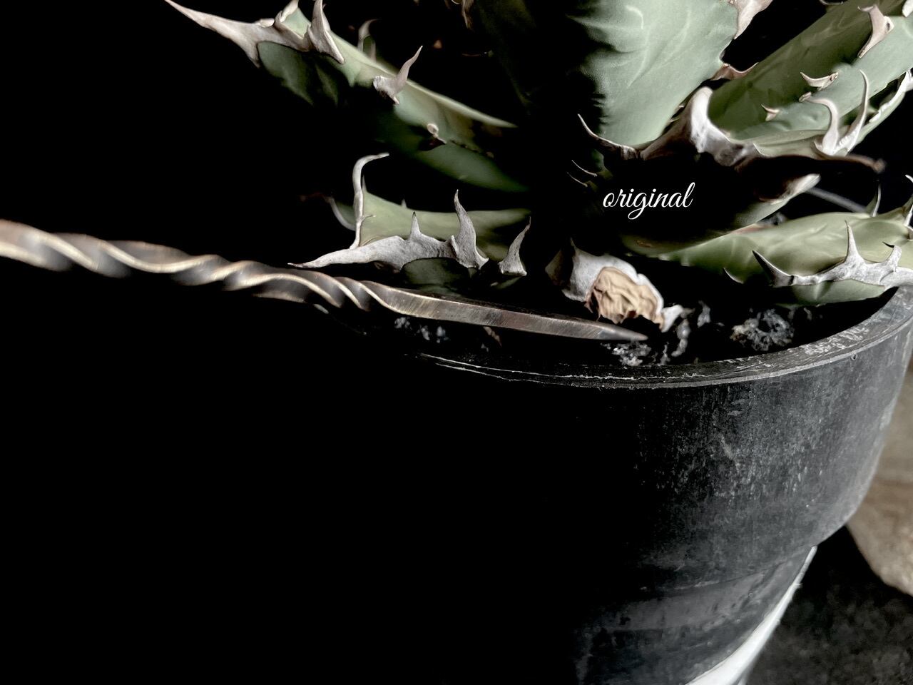 NAS 200 ◼︎ソイルスティック