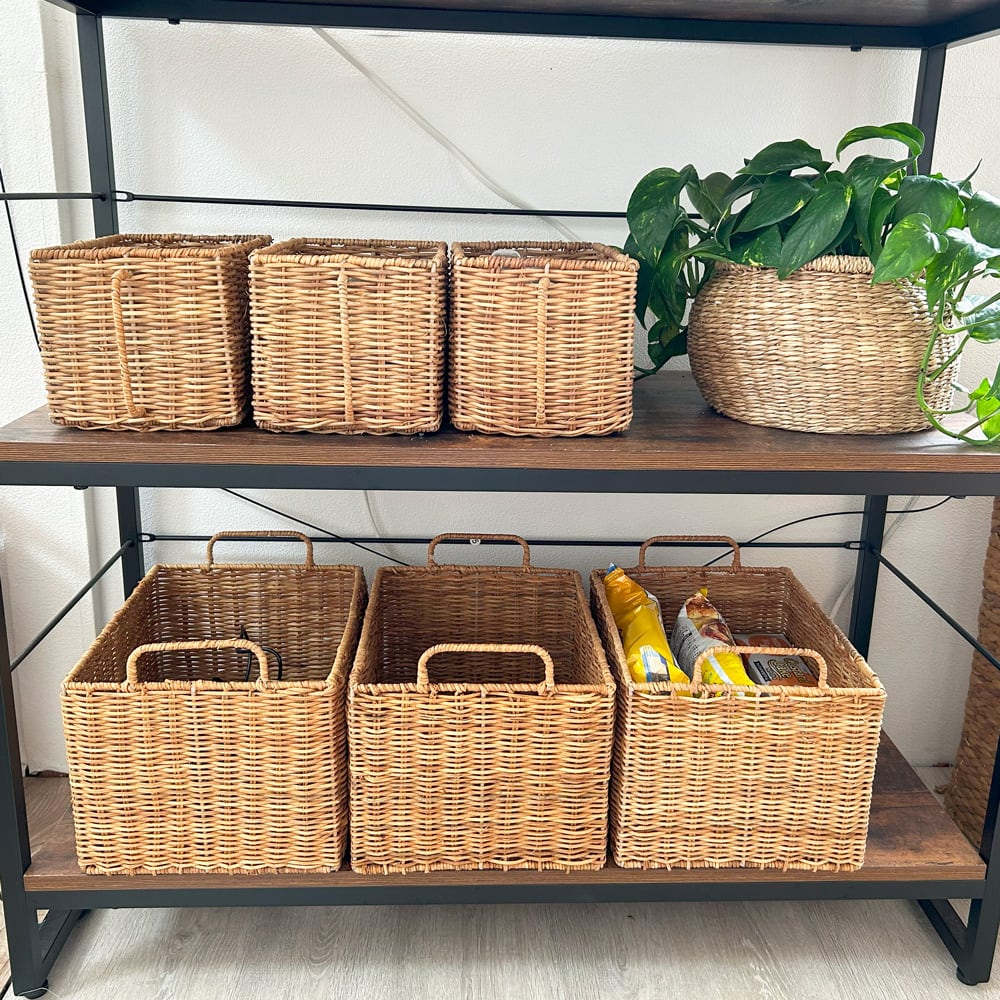 カトリーヌドゥヌアル バスケットM