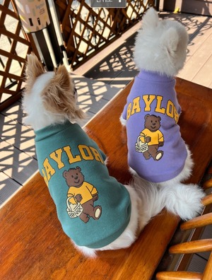 《Apple Apple》BAYLORベアトレーナー