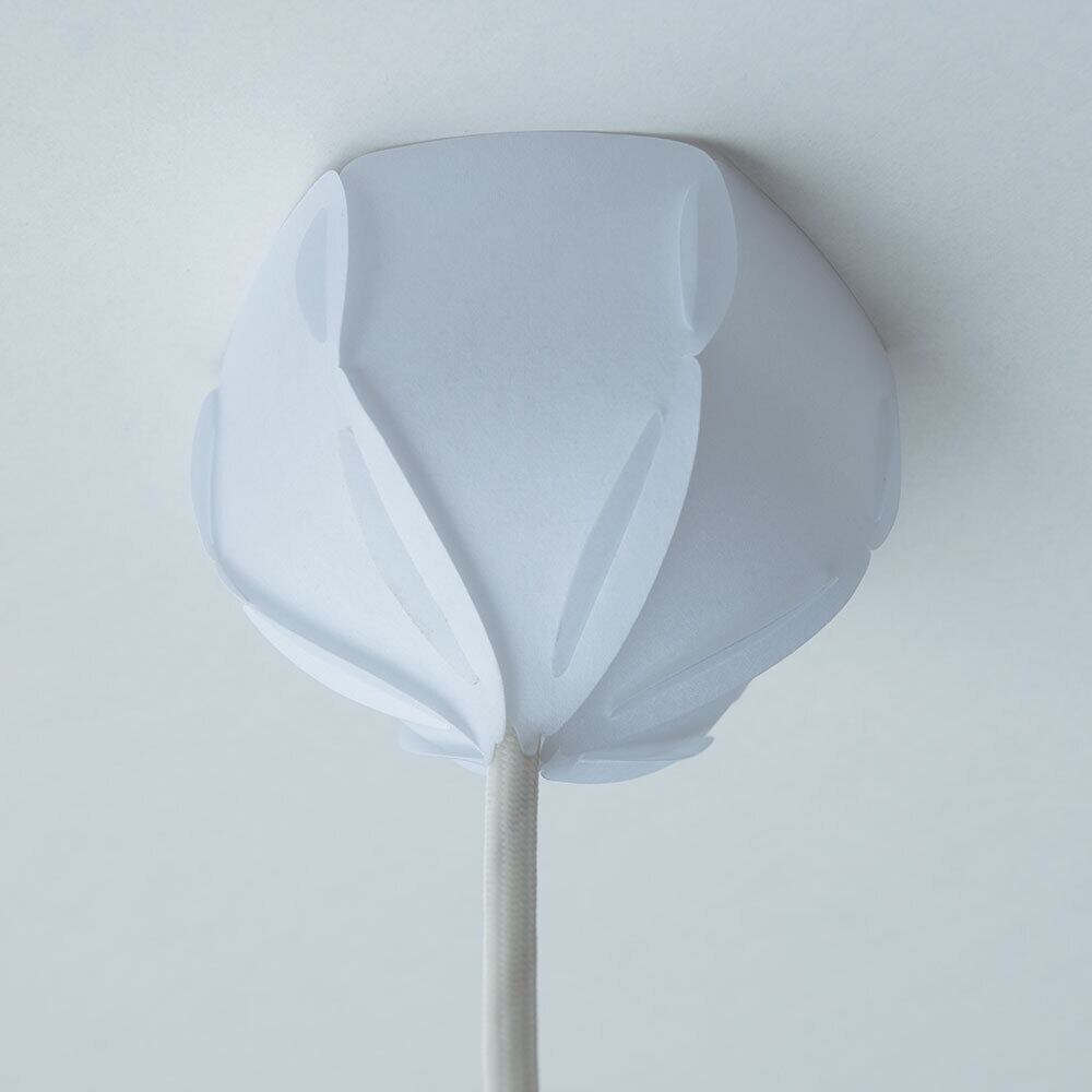 オーガニック形状ペンダント BOTANIC HANGING LIGHT with FAKEGREEN｜ライト・照明