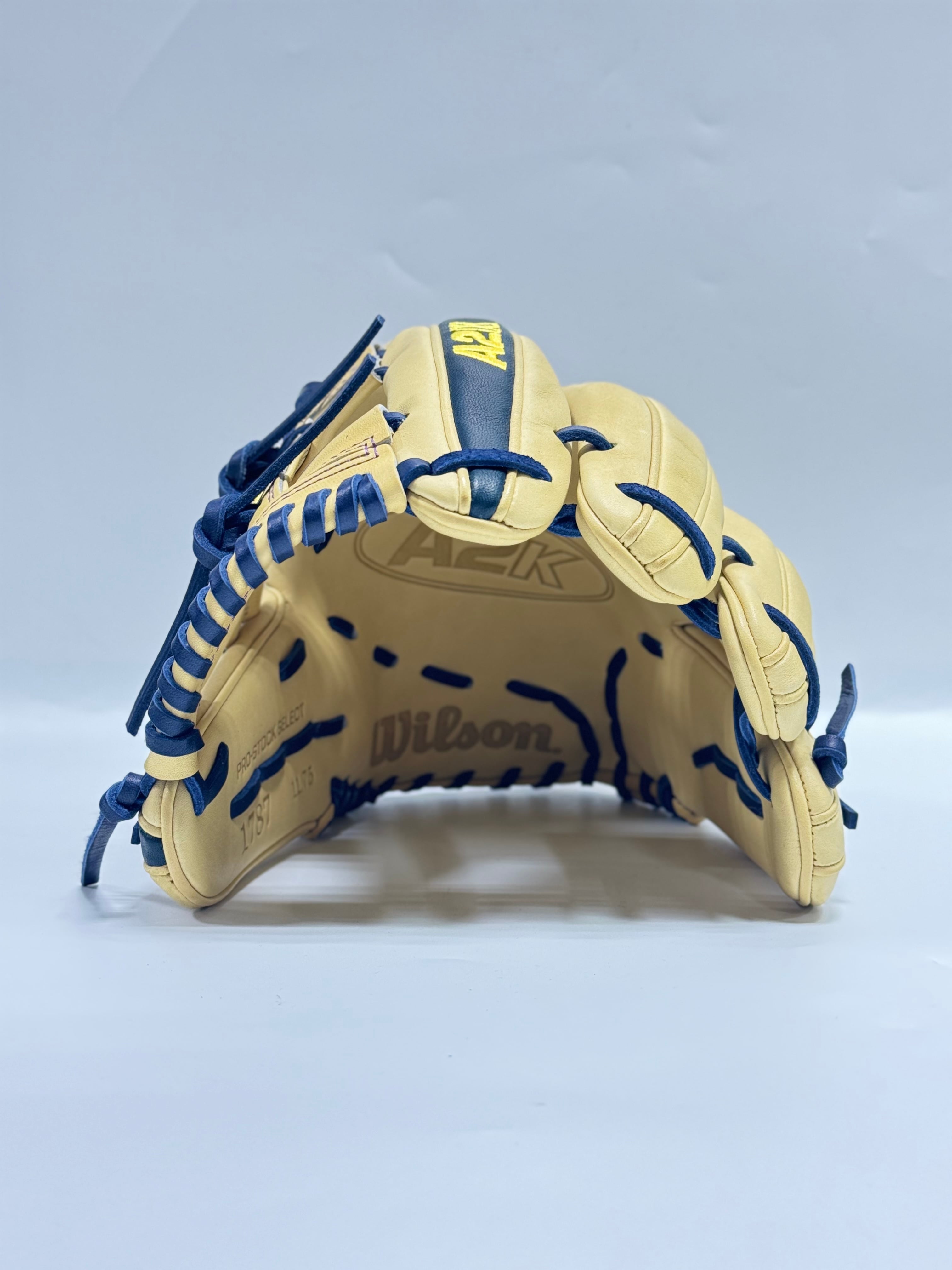Wilsonｰウィルソン 超限定 A2K for JAPAN 硬式用グローブ 1787型
