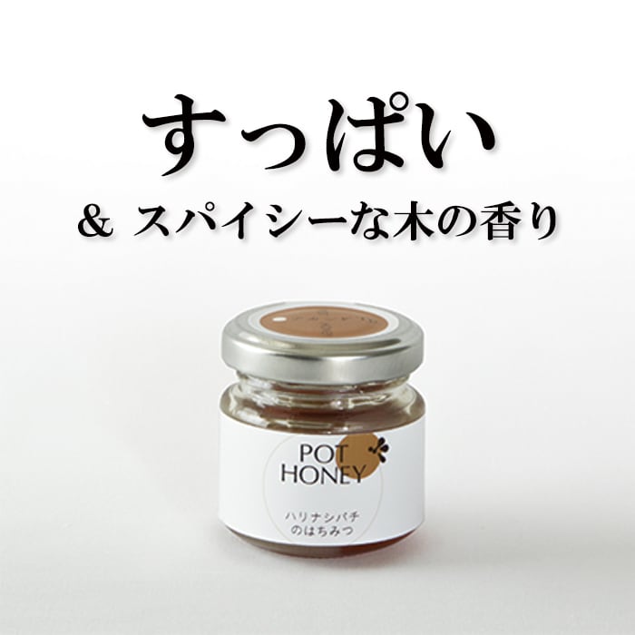 お得！】ハリナシバチの蜂蜜 POT HONEY 6種食べ比べセット 各40g | 蜜