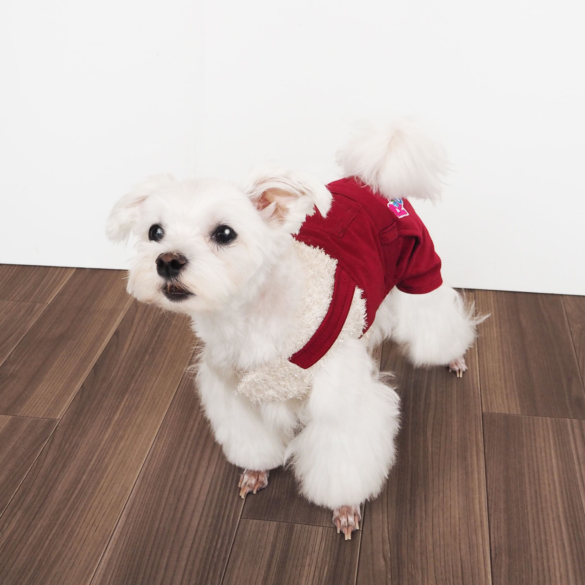 【ドッグウェア】 キャンディオーバーオール レッド/ブルー