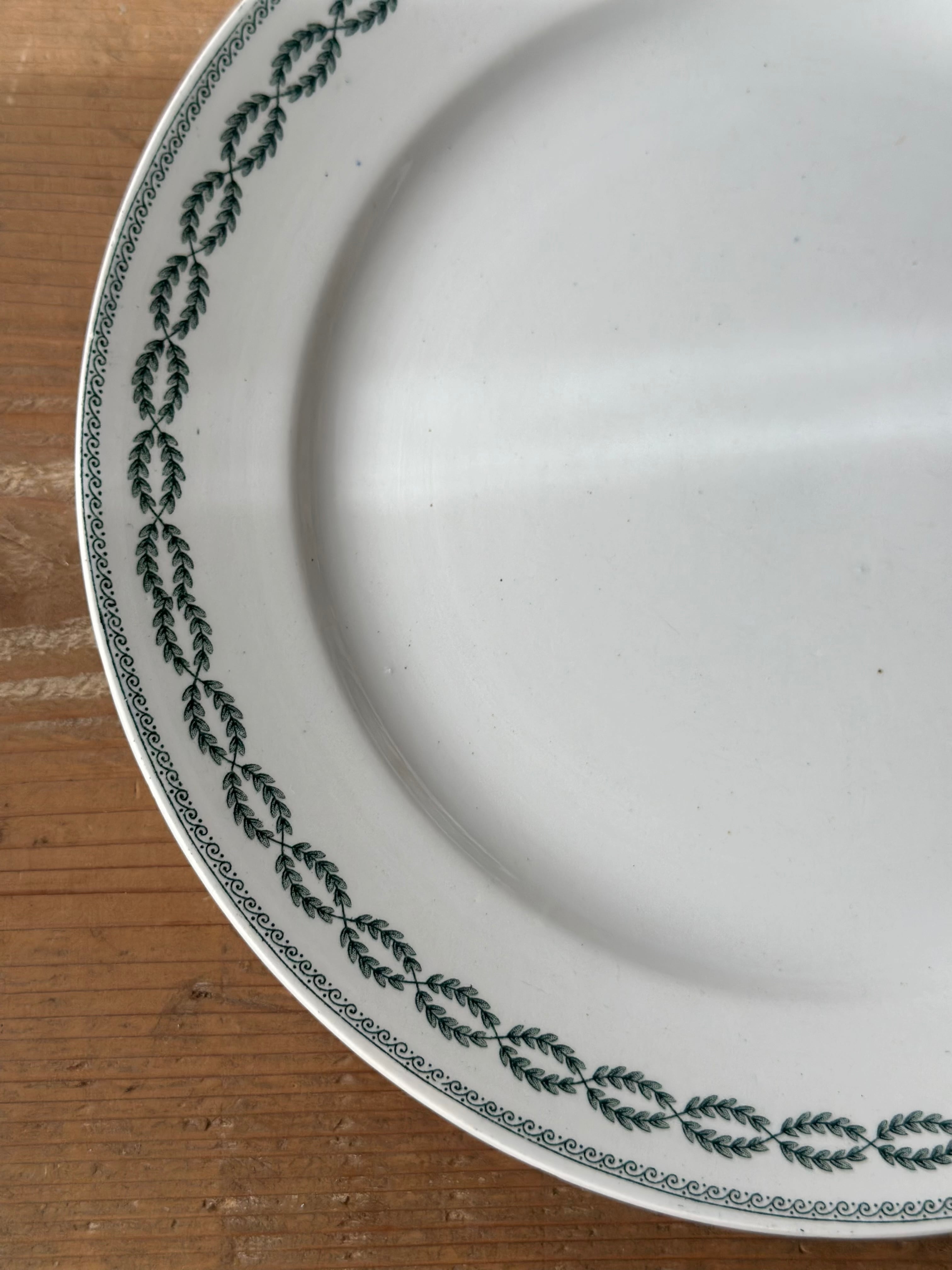 Sarreguemines サルグミンヌ / “NOBILIS” ローリエ模様の平皿プレート