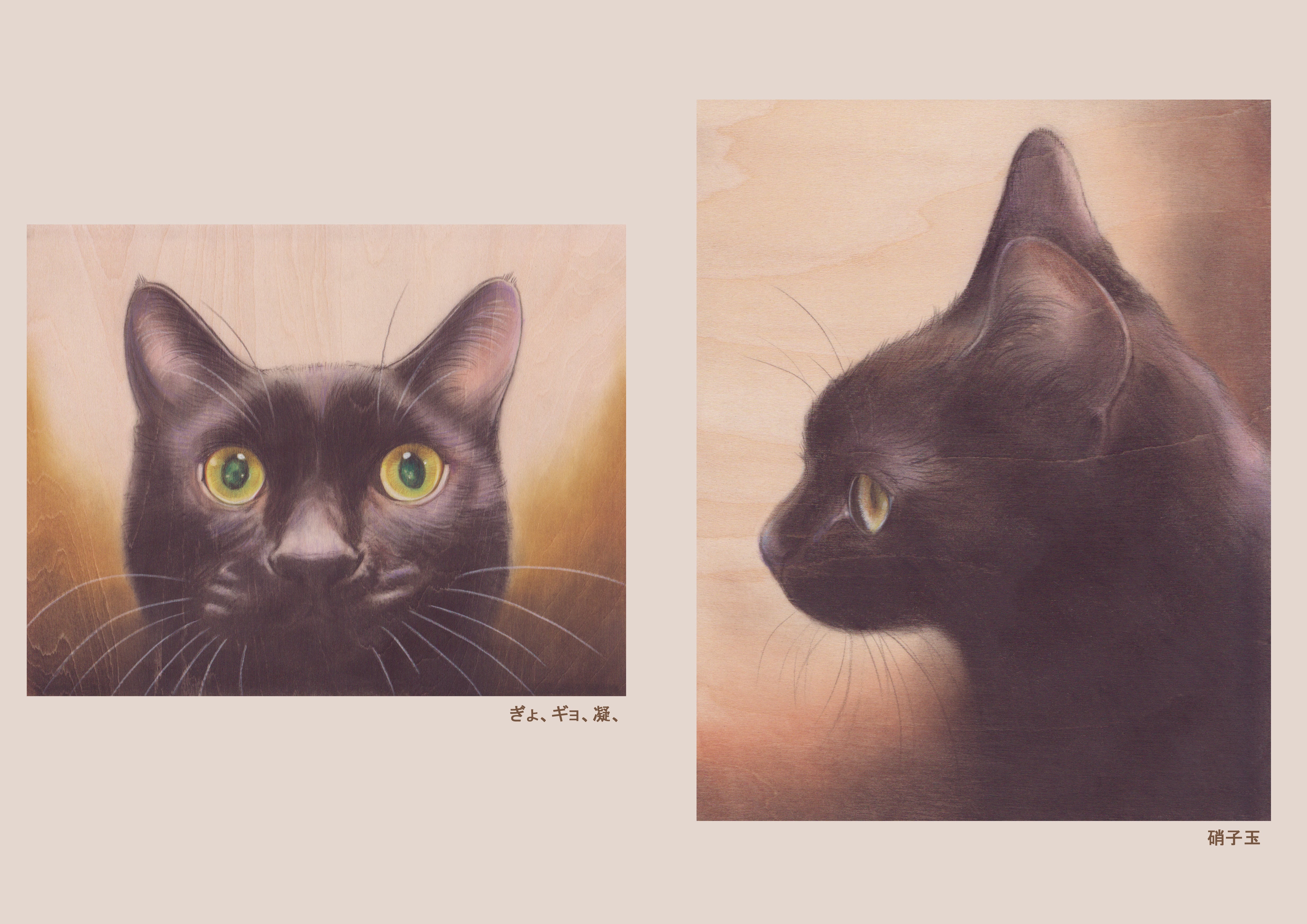 目羅健嗣猫絵画アーカイブ2004-2012 | アトリエマウリ