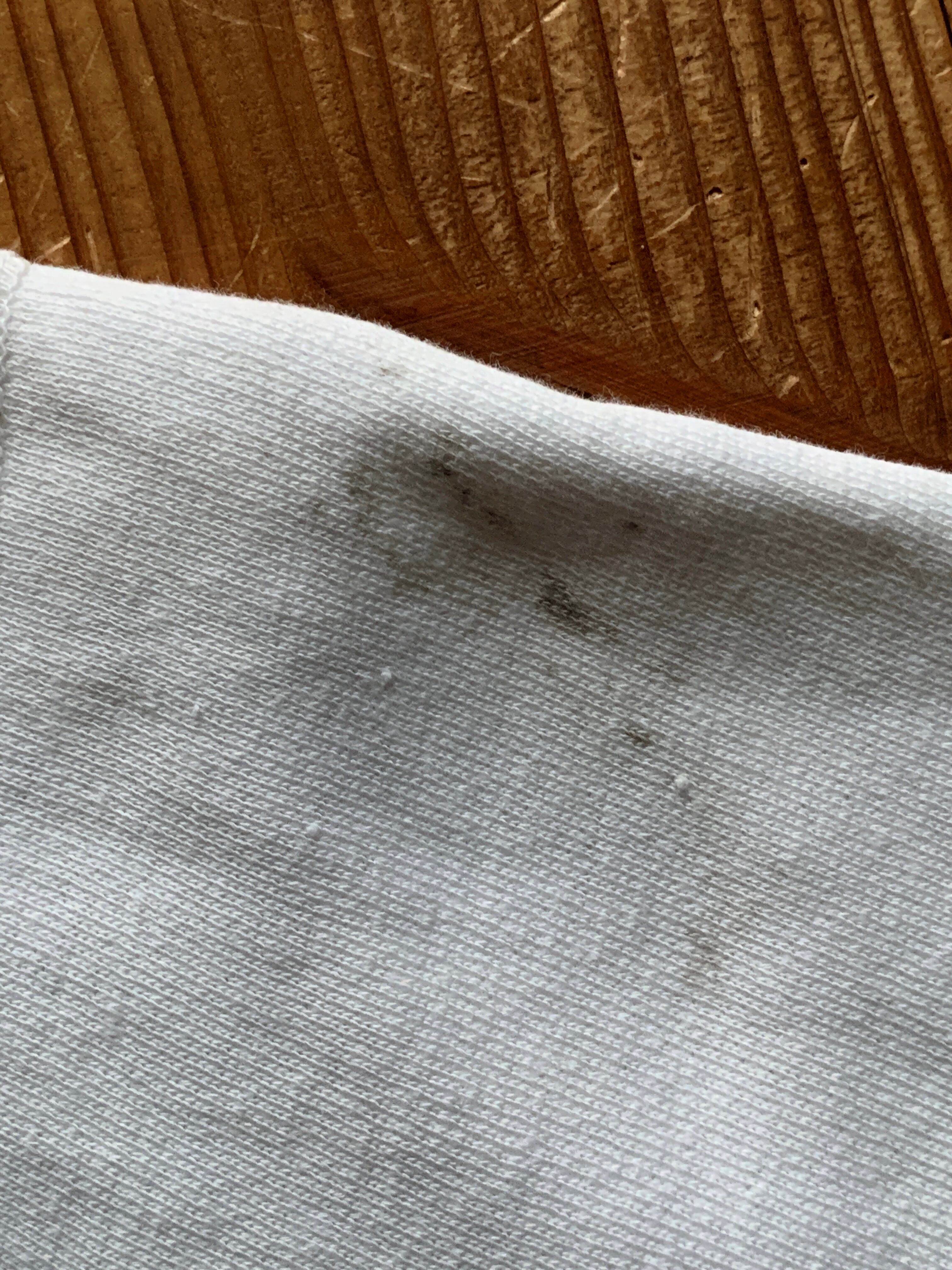 50's Champion ''HARVARD'' ランタグ セットインスリーブスウェット ホワイト 表記(M)