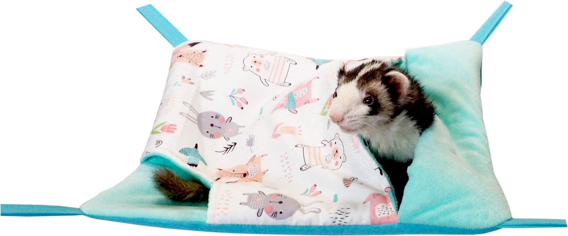 【フェレットハンモック】パクっと！ハンモックかわいい動物たち