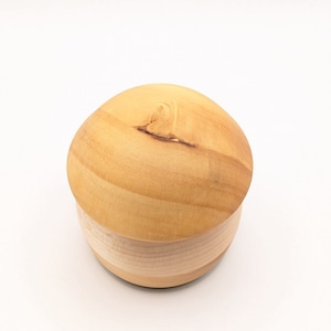 ふるさとどんぐり・川口の木（iイチョウ#005）