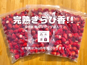 【送料込】冷凍　きらぴ香３ｋｇ☆静岡限定品種