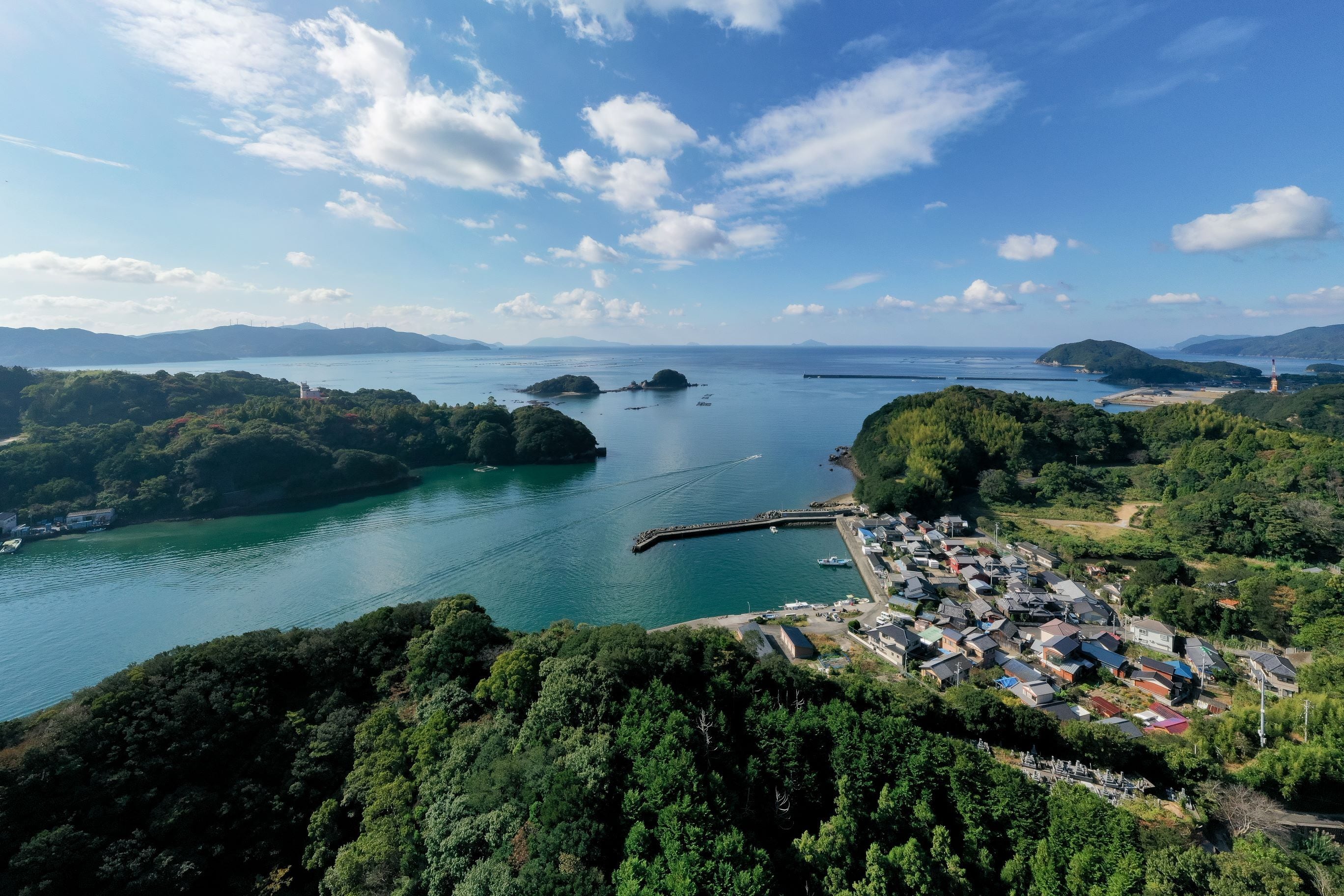 ぶりカマセット | N's Factory