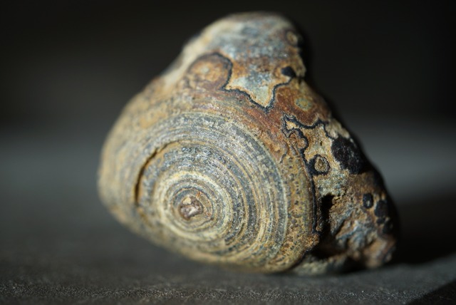 ゴビアゲート Gobi Agate 1100