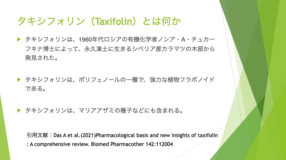 プラチフォリンのリーフレット