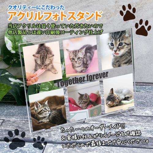 アクリル写真スタンド ペット アクリルフォト パネル 写真 フォトフレーム ウエディングフォト おしゃれ 名入れ プレゼント 愛犬 ネコ イヌ 犬 メモリアル 遺影 仏具 位牌 ペット供養 記念 ペットロス プリント スタンド オーダーメイド パネル ギフト 写真入り 写真立て