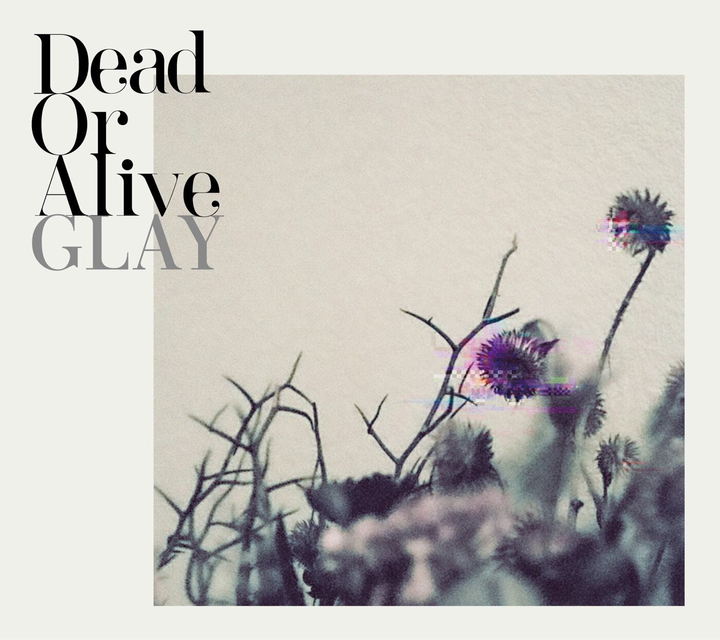 2019.07.10 ACE OF SPADES / ACE OF SPADES 1st. TOUR 2019 “4REAL