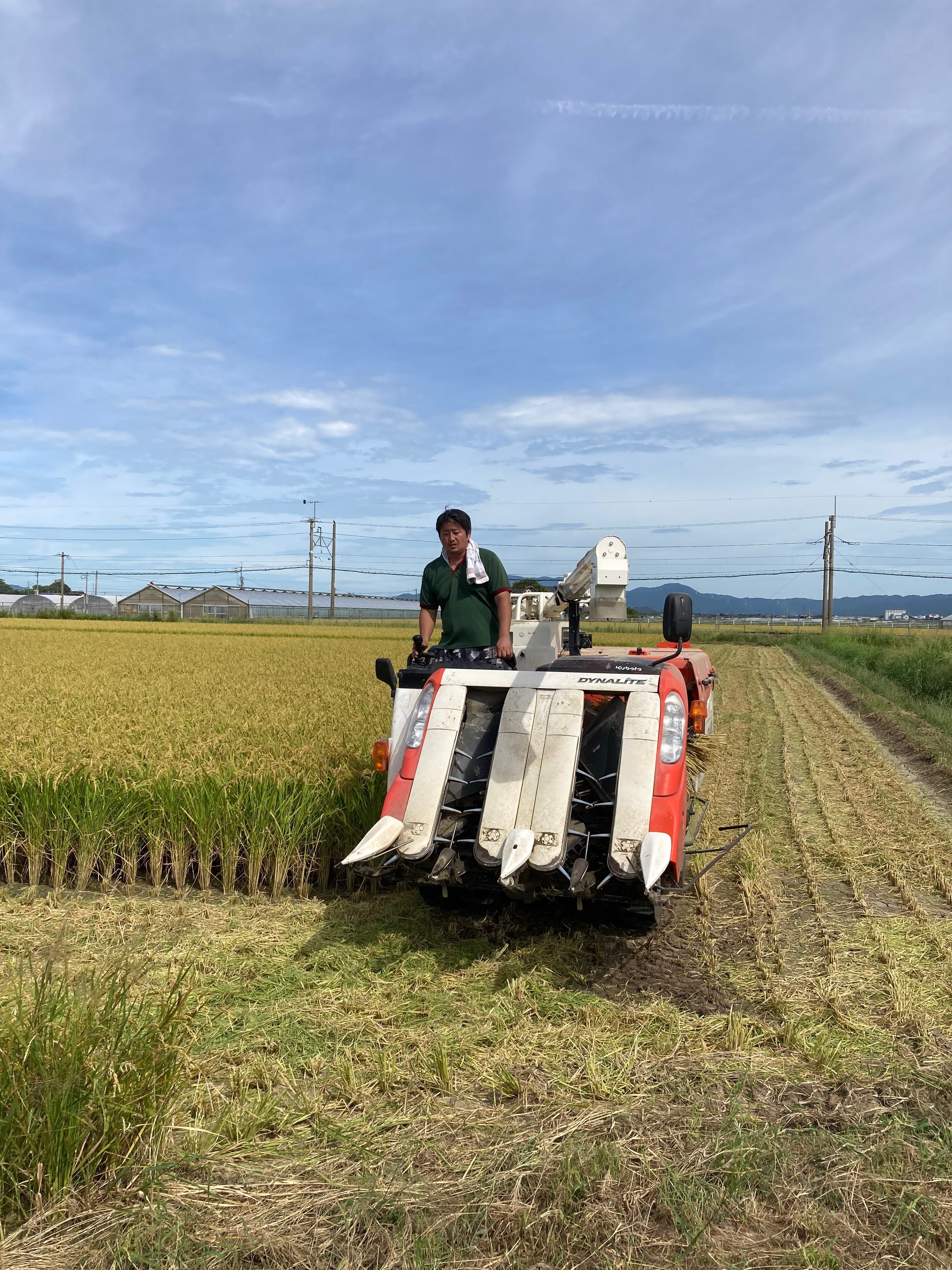 新米予約】令和8年度福岡県産 元気つくし玄米30kg 特別栽培農法 | 古賀農園