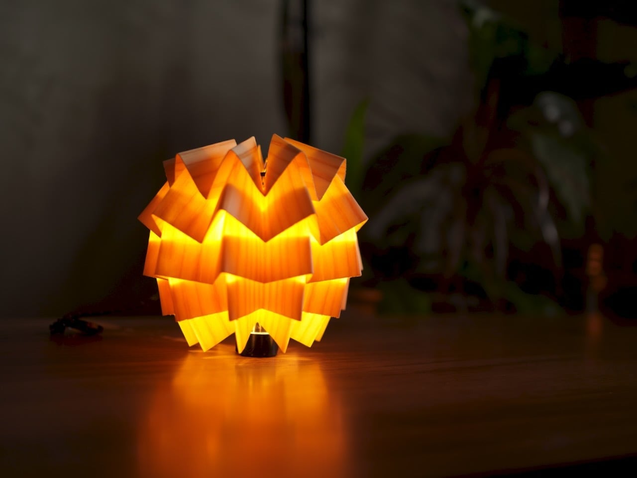 solo wood 【sugi】 | NODELDESIGN ONLINE STORE