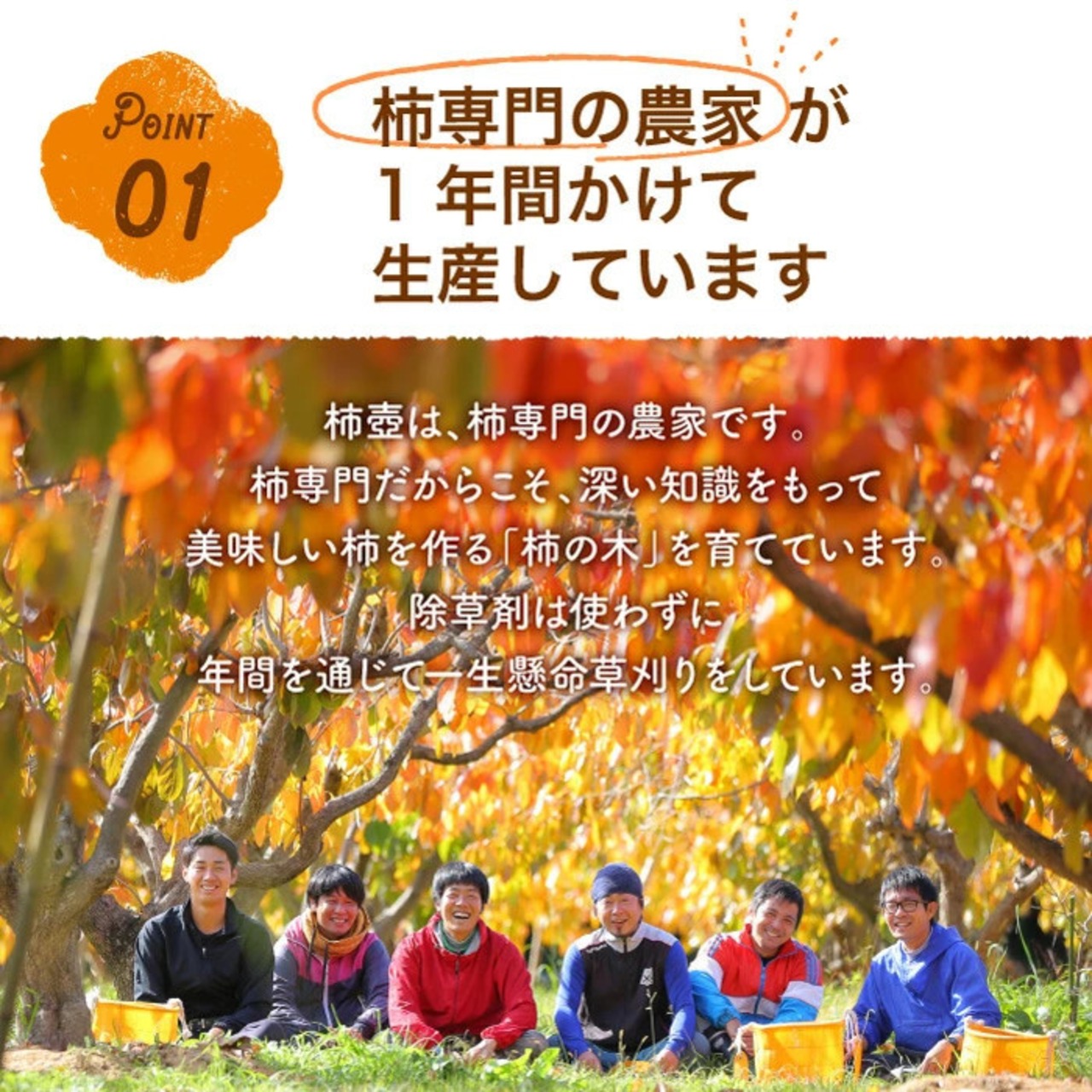 【予約・11月下旬～12月発送】【2026年産】富有柿 2L 18玉（5ｋｇ）