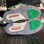 Nike WMNS Air Jordan 3 Retro "Lucky Green" US10w/27cm