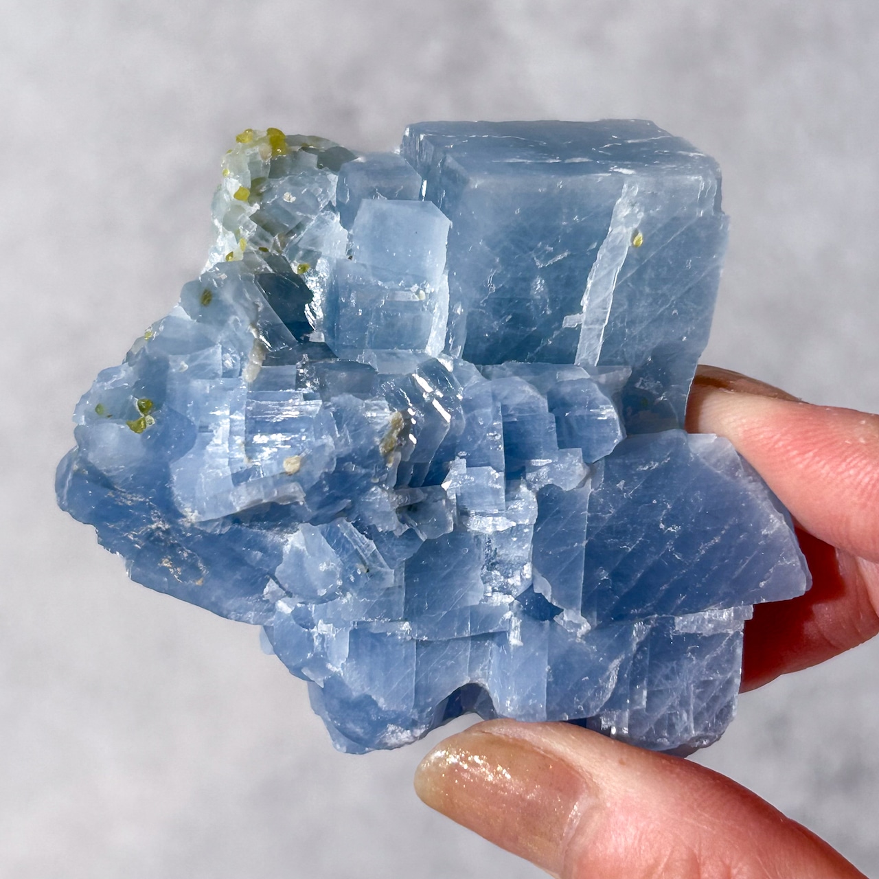 セレスタイト ペリドット共生 原石