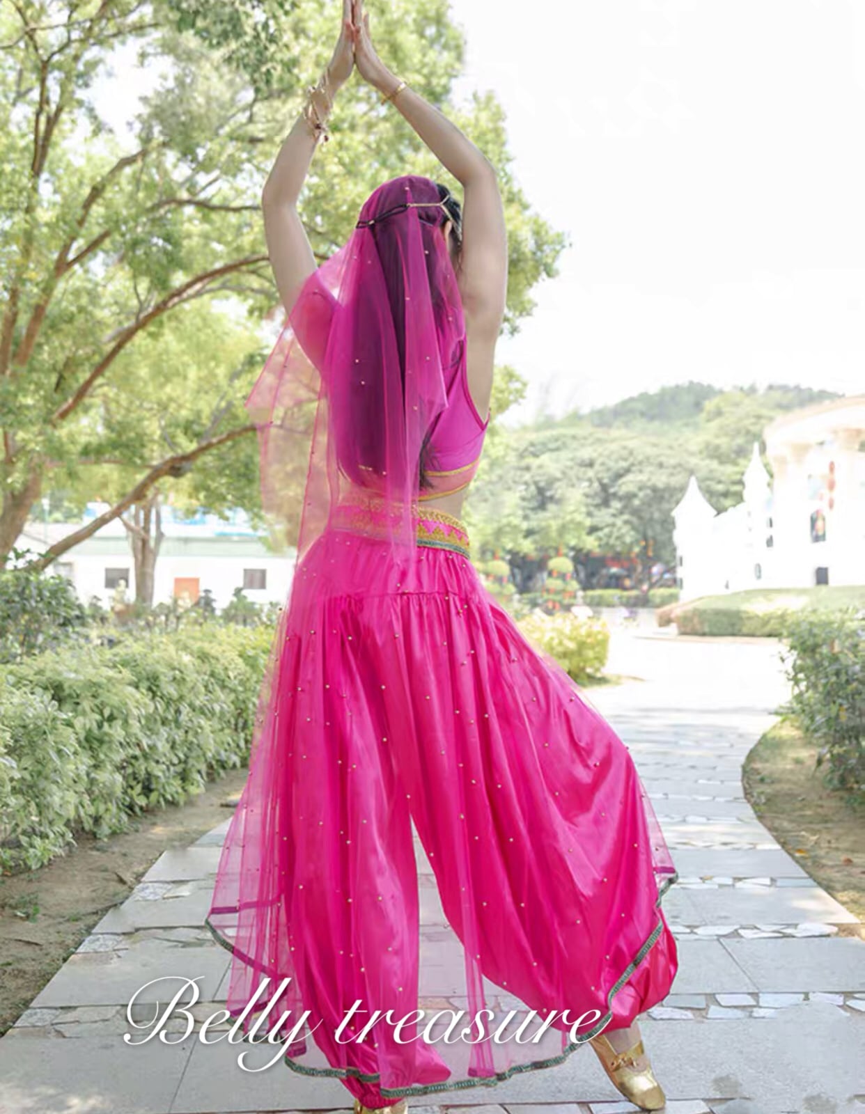 ジャスミン衣装 5セット トップス パンツ ベルト ベール 髪飾り ADNL