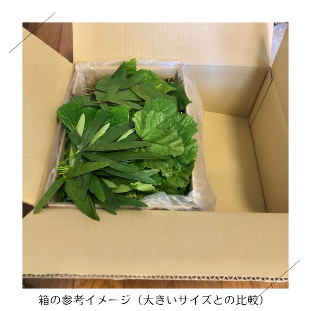 （参考）お送りする際の箱のサイズについて