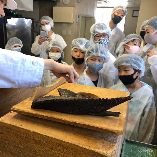 「夏休み限定」京の削り節屋の小学生向けワークショップ
