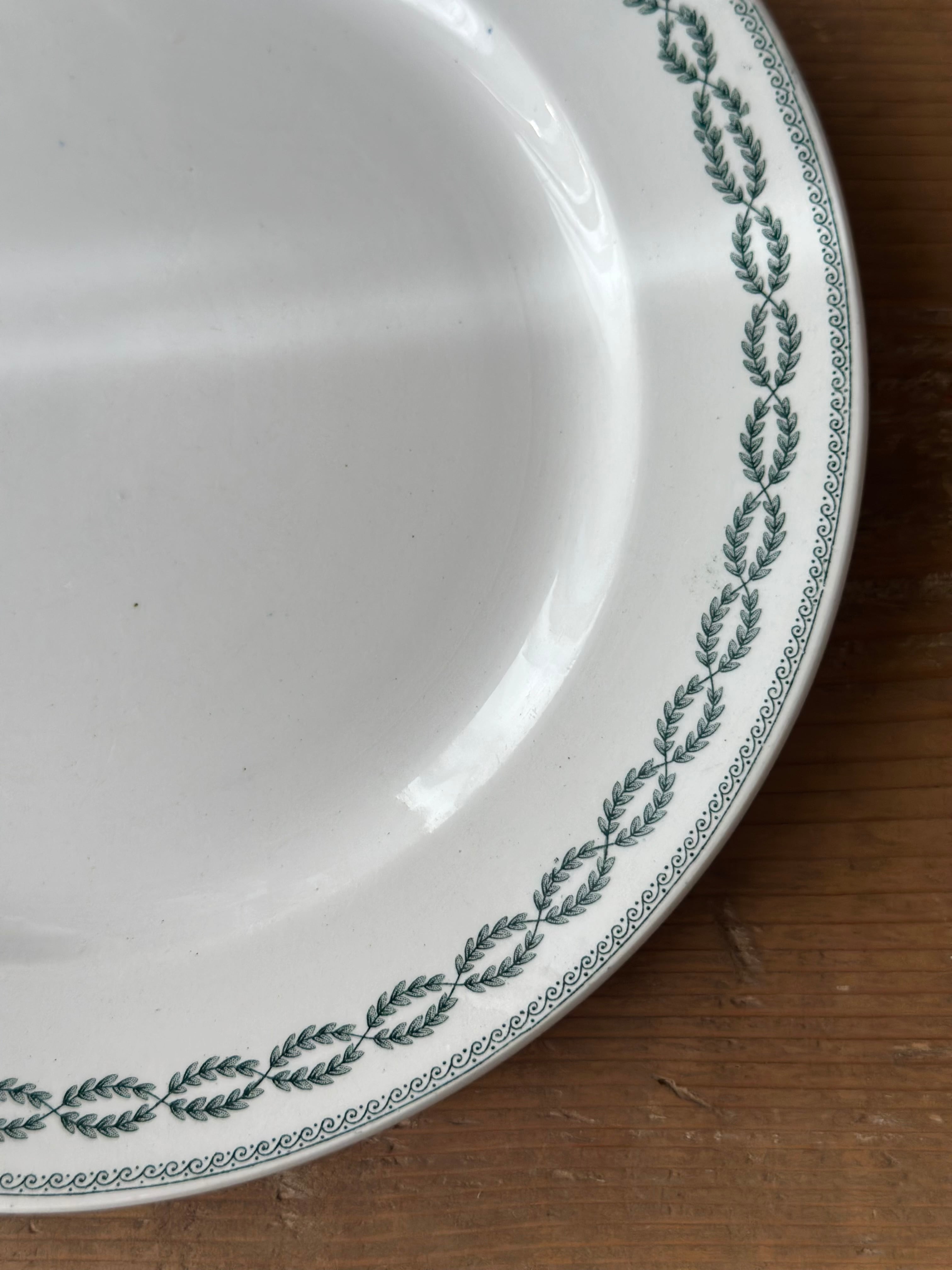 Sarreguemines サルグミンヌ / “NOBILIS” ローリエ模様の平皿プレート