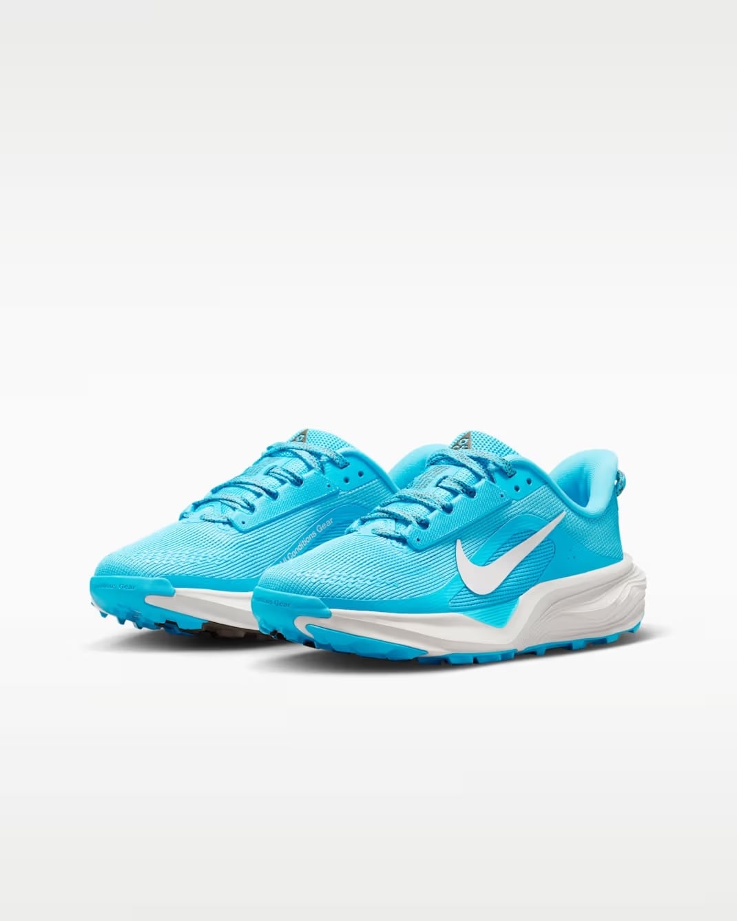 Nike Lunargato II ナイキ | PAY ID