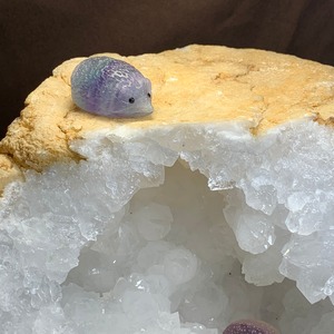 モロッコ産水晶ジオード×フローライトハリネズミ ~フローライトハリネズミが住み着いているシリーズ~