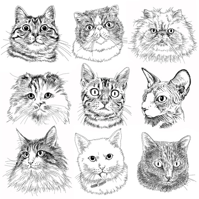 Custom Portraits Of Only Face Illlust Of Cats Dogs And Animals おしゃれ猫 雑貨 グッズ通販 イラスト 似顔絵作成 365cat Art