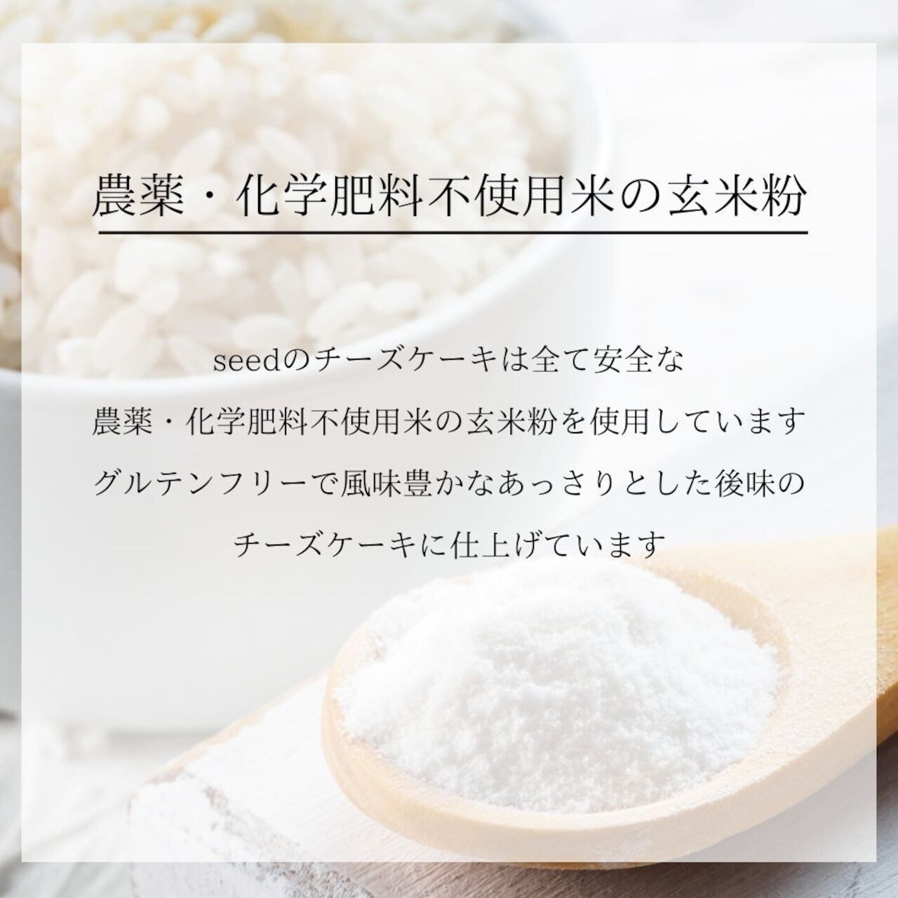 クリスマスエシカルコレクション【mini】